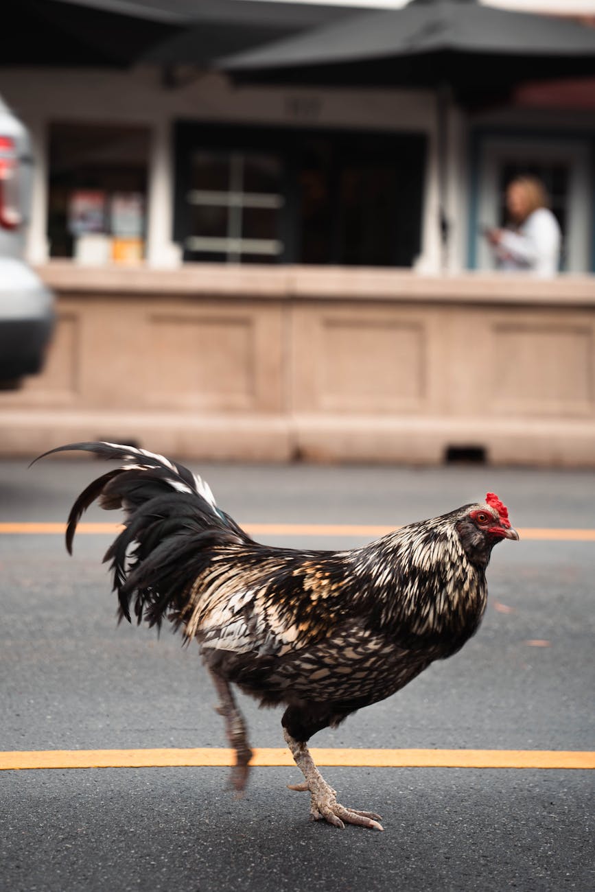 The Jerk, the Bird, and a Lesson in Grace